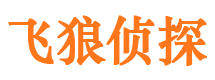 磐石侦探